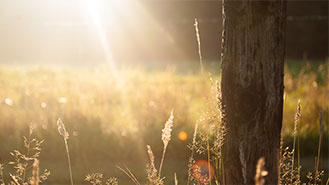 一键解决问题的24小时轰炸对方的电话