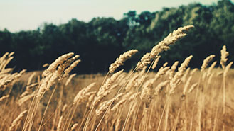 电话呼叫轰炸app